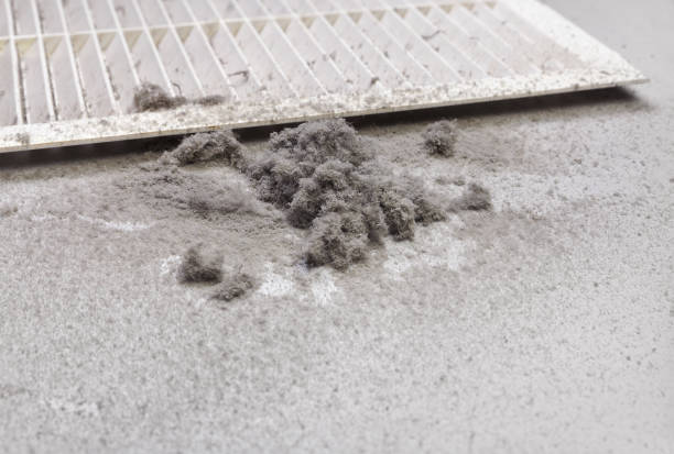 Best Ductwork Cleaning Services  in Forest City, NC